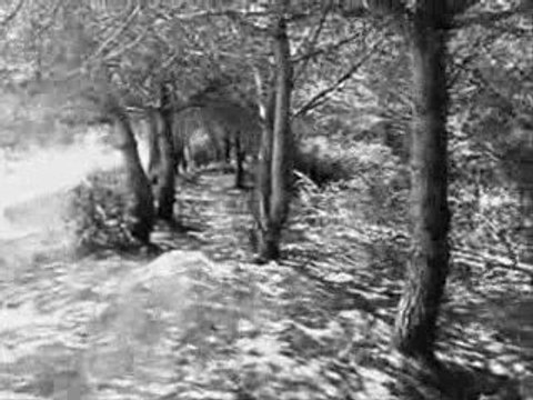 Avance aitor 09, always biker