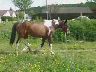 Mai07 2009 1ere seance de remusclage