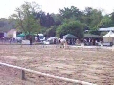 Concours dressage Finale du Championnat départemental