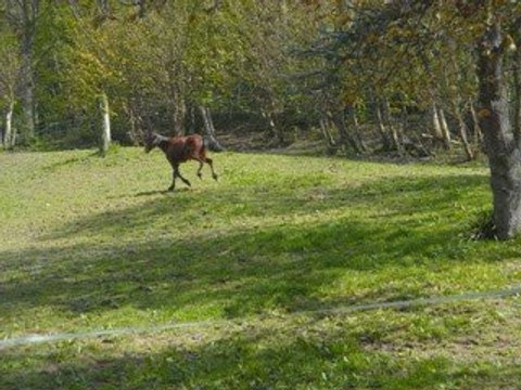 WE En Normandie 24 Au 26 Avril 2009