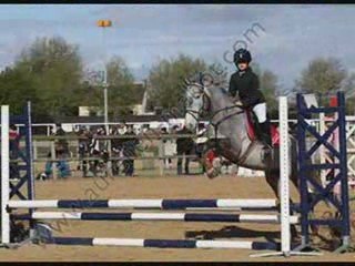 Concour avec poney xx3