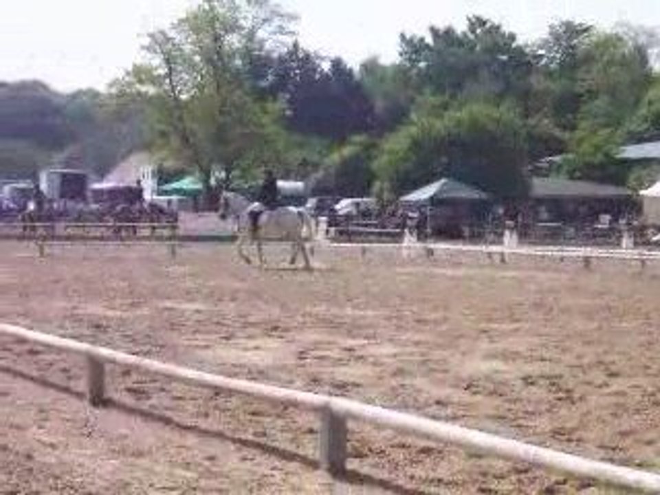 Finale dressage du Championnat départemental du 95