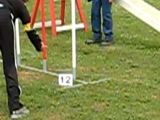 2.DEGRE MAYBE CARACSSONNE 2009 3.EXC(1)