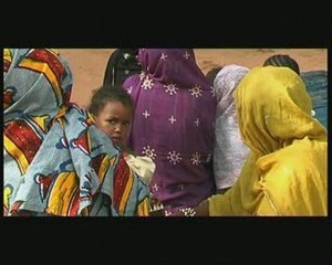 CLN Cooperative Laitière de Niamey - seconda parte