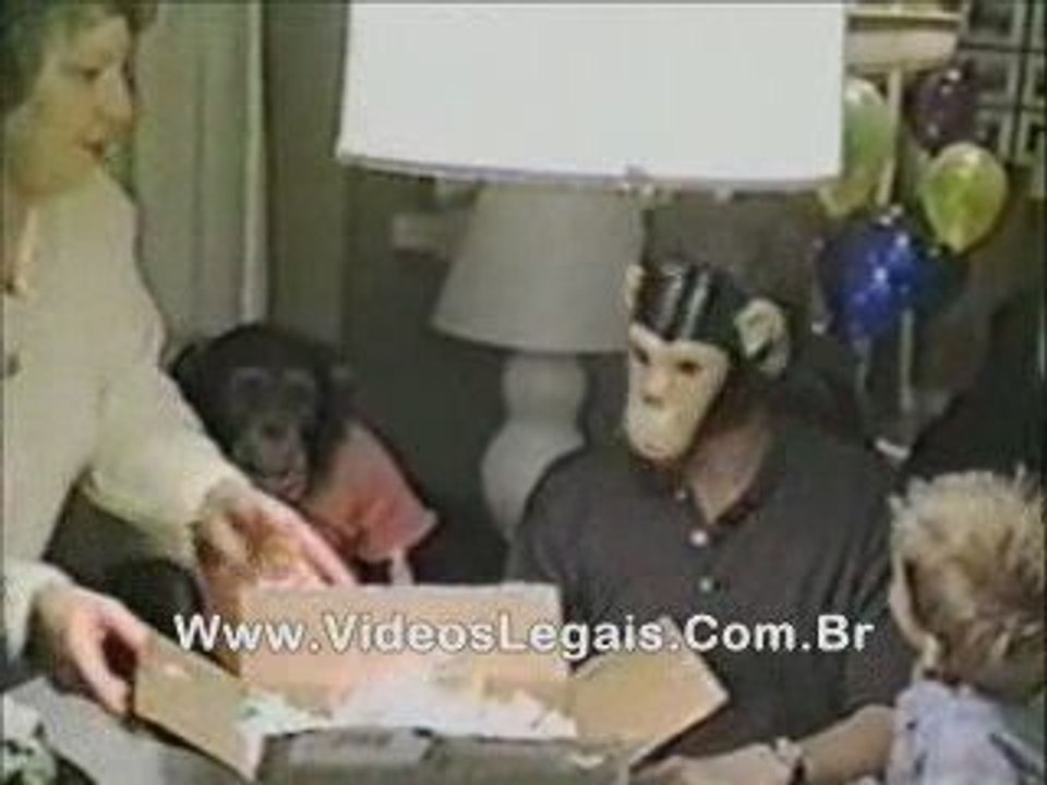Chimpanze_apaixonado