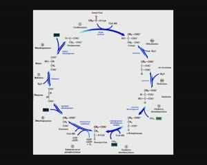 [LLP] - Message de l'eau 2