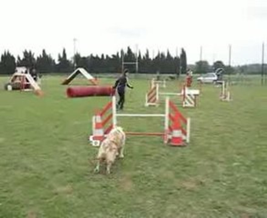AGILITY MAYBE CARCASSONNE GPF