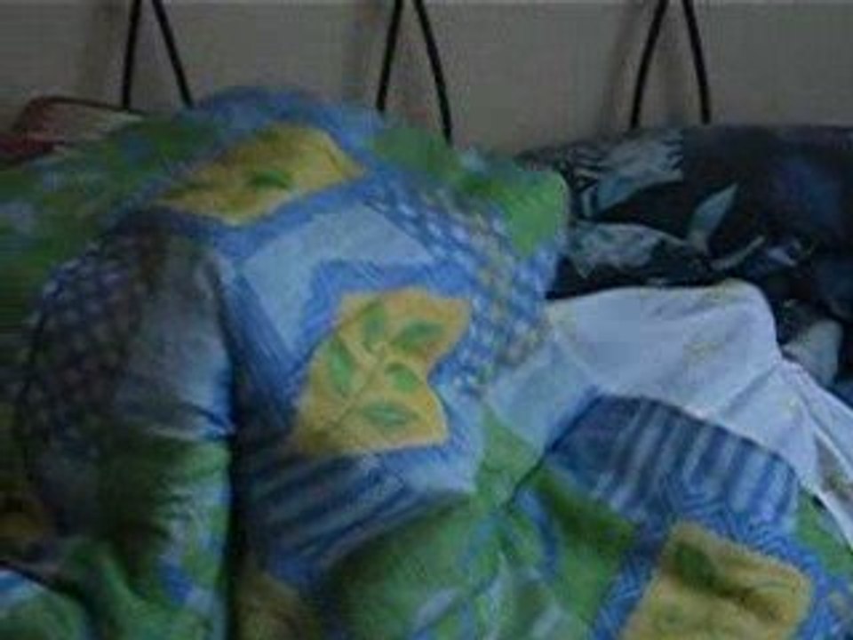 père, fils et chien