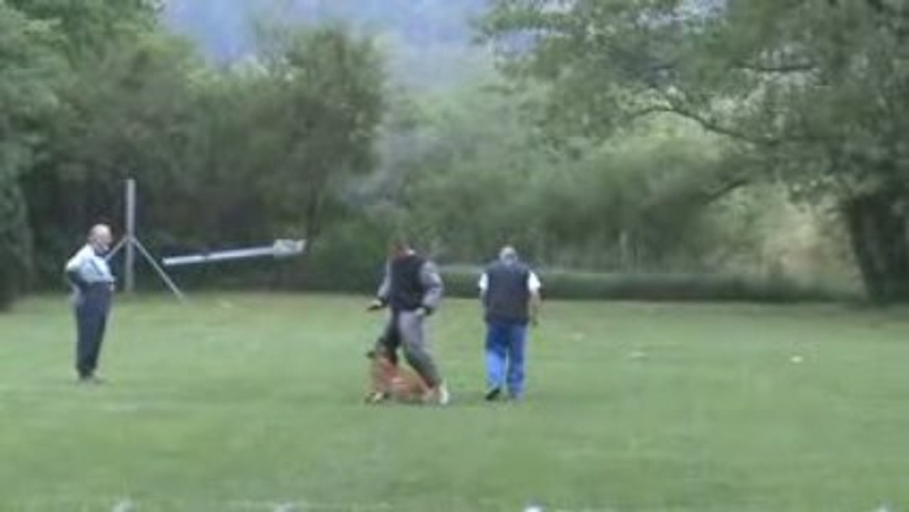 DEFENSE DU MAITRE DE MON BREVET RING ATHOS DE VULCAIN