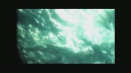 Mellowhead feat_ 佐野元春 Better days