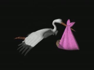 LE 2ème petit TAZ le 11 mai 2009 (05)