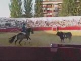 ICARO caballo de Pablo Hermoso de Mendoza