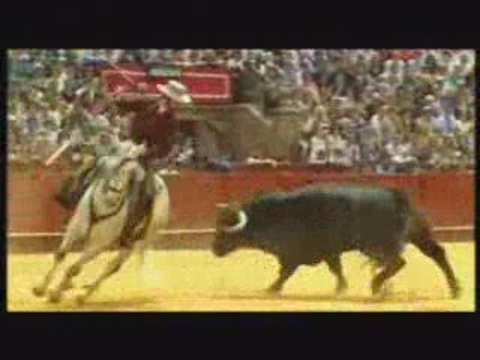 LABRIT caballo de Pablo Hermoso de Mendoza