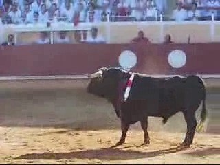 SILVETI caballo de Pablo Hermoso de Mendoza