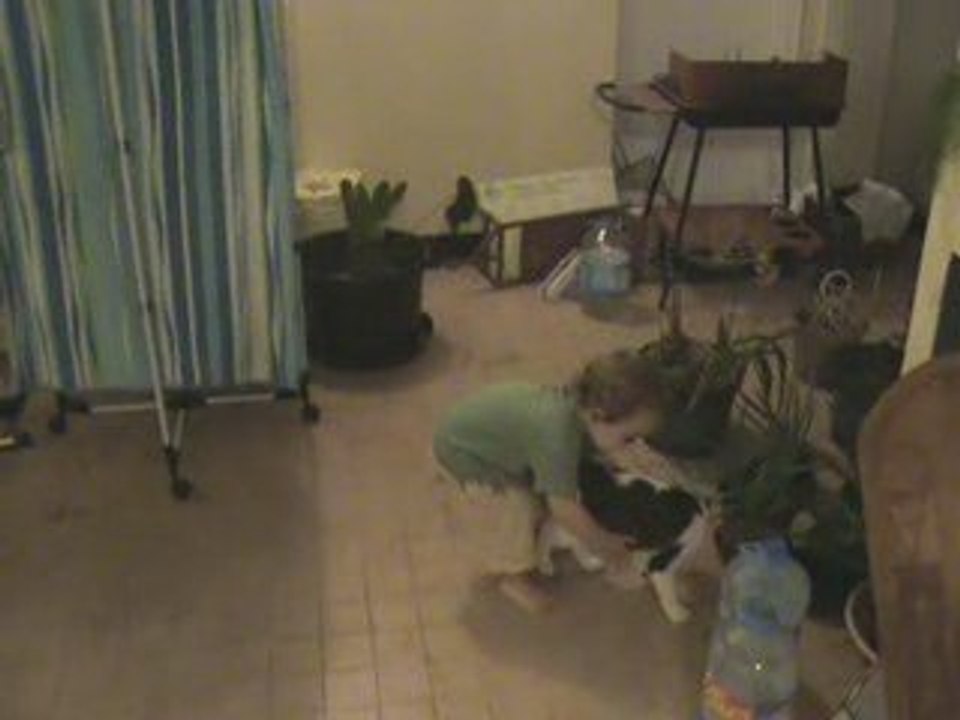 Visite du chat