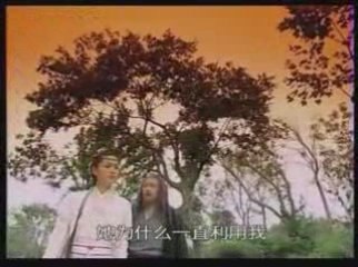 VoSi20-0001