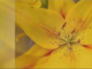 La campagne chez Marion & Seb