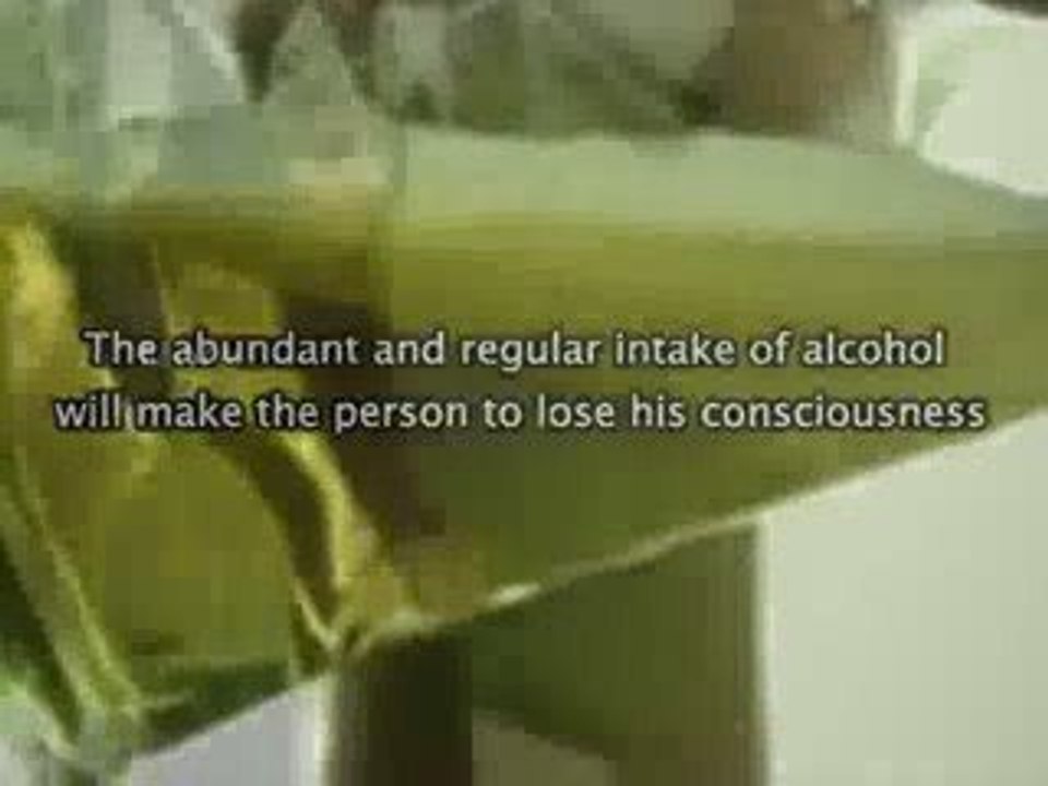 Say not to Alcohol ! Alcoholism Information