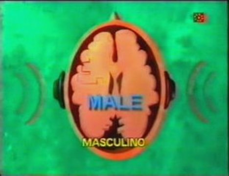 Profesion y diferencias de genero (Escucha dicotica)