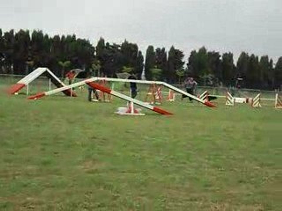 Agility   Julie et Black