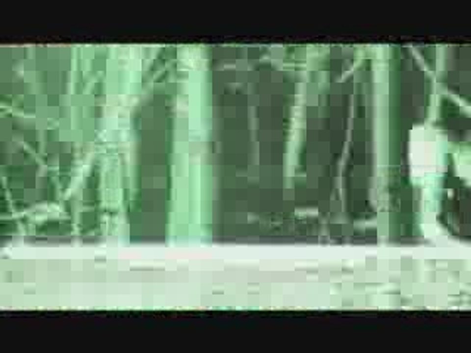 Der Eminem Tag auf MyVideo - 18.05