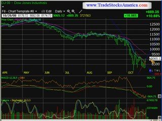 Free Stock Videos October 28, 2008