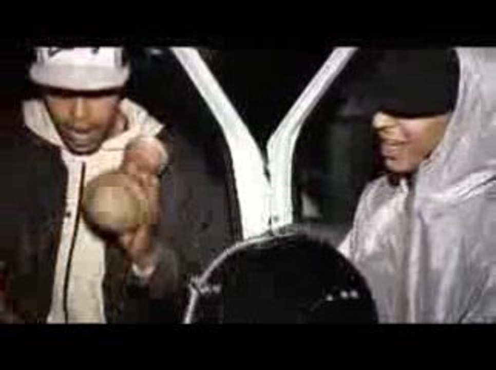 Dakka marrackechia  2