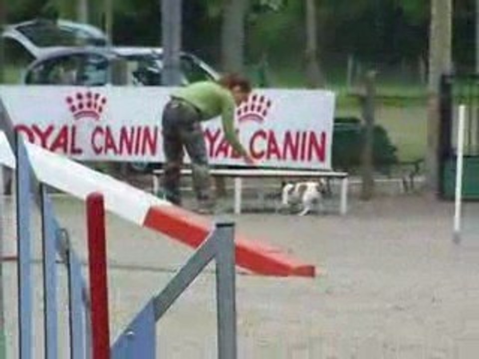 1er degré  Trélazé le 10/05/09 ambrouille