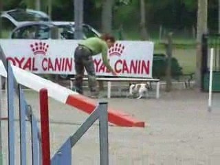 1er degré  Trélazé le 10/05/09 ambrouille