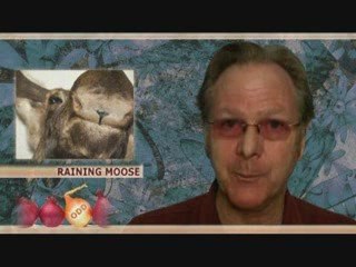 Odd News - myinboxnews.com