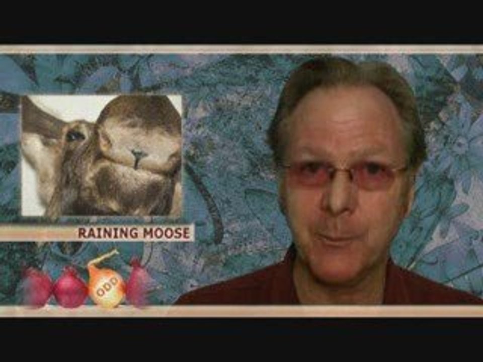 Odd News - myinboxnews.com