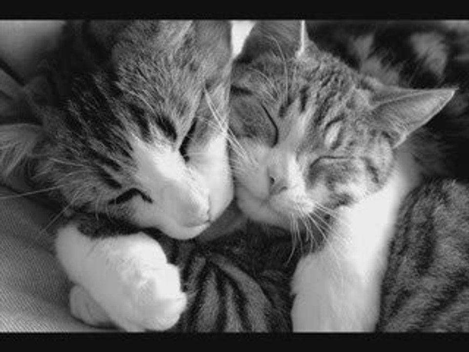 Prends moi dans tes bras