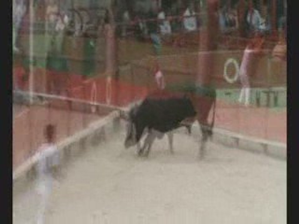 Course d'Etalons neufs Aigues - Vives le Dimanche 10 mai