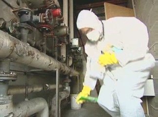 Dossier: La présence d'amiante dans le bâtiment