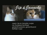 16 Jip en Janneke