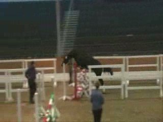 Jument a vendre Desirée 09/20081