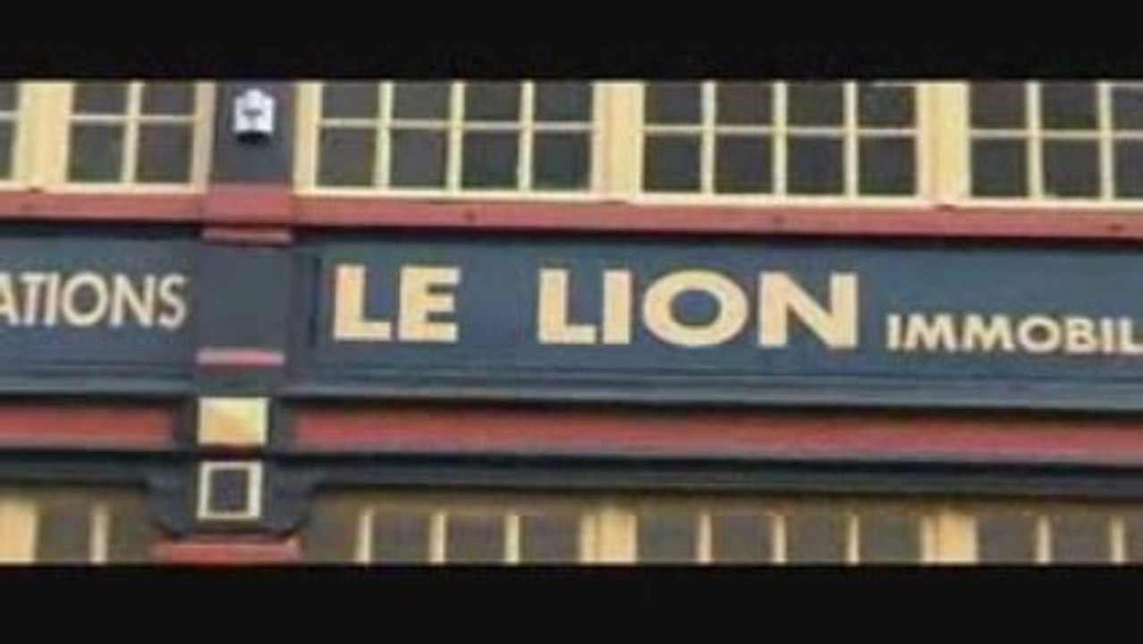 Le lion immobilier