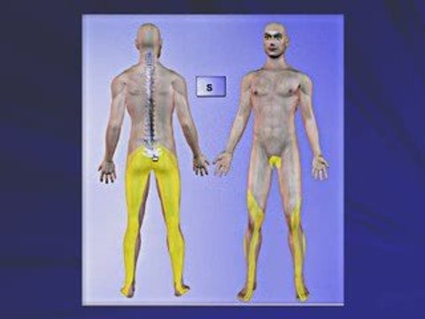 Spinal Decompression - Back Pain Relief Belleville