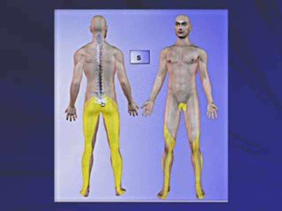 Spinal Decompression - Back Pain Relief Belleville