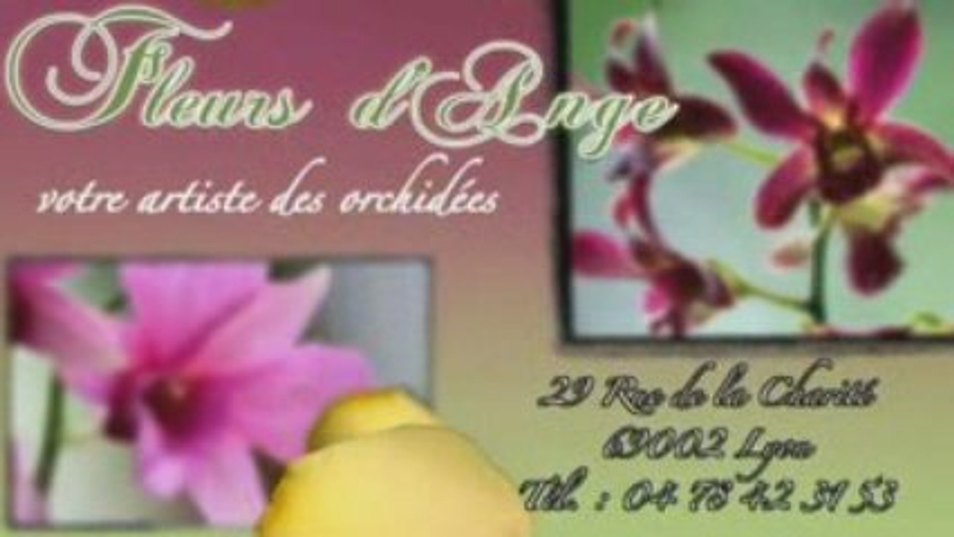 Fleurs Danges Votre Fleuriste à Lyon