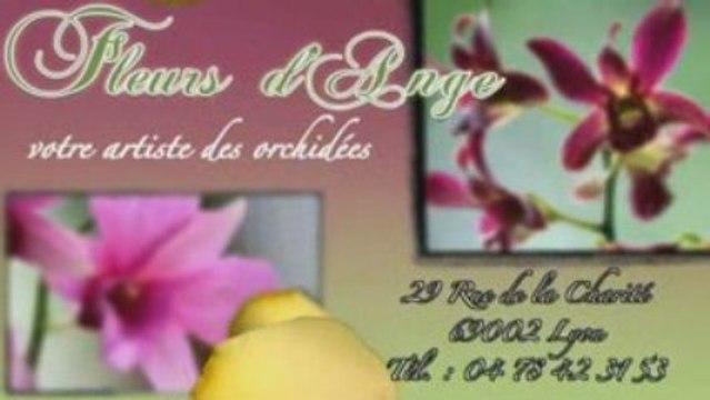 Fleurs D'Anges, votre fleuriste à Lyon.