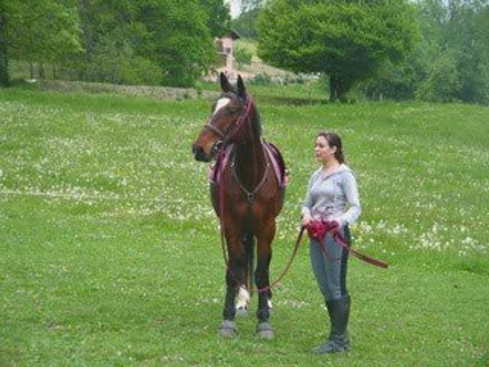 Le 10 mai 2009
