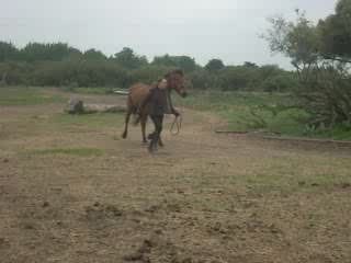 Laura & Kenzo qui saute le tronc .