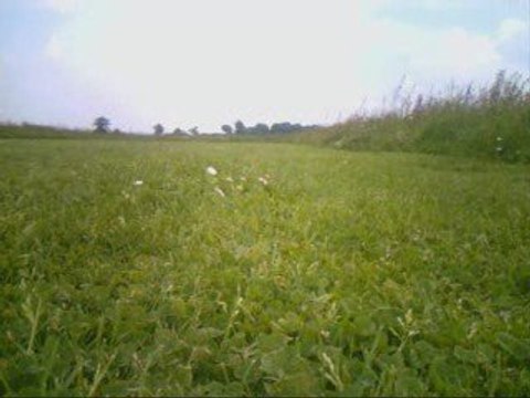 TWINSTAR 2 caméra embarquée avion radiocommandé et flycam