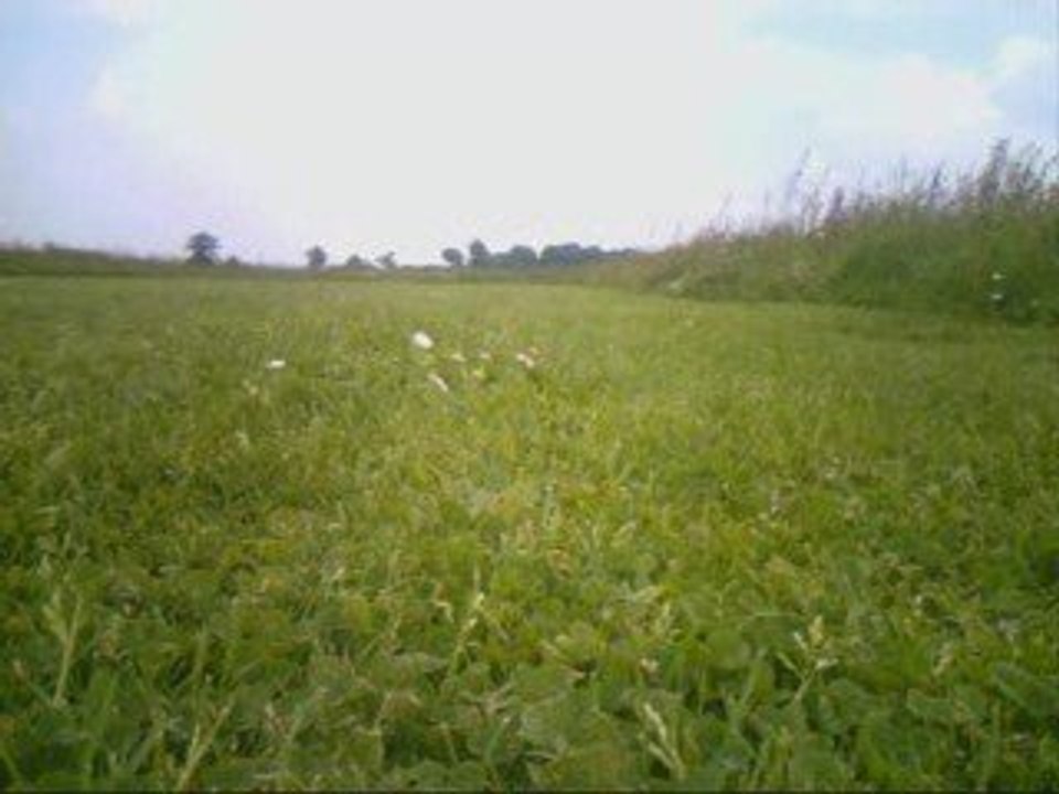 TWINSTAR 2  caméra embarquée avion radiocommandé et flycam