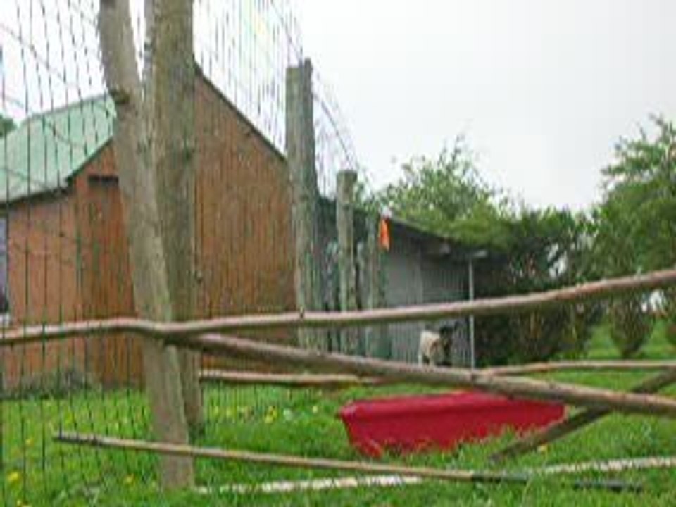 Lili saute avec son tapis