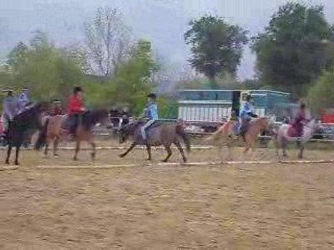 Carton le 8 mai 2009 pony games