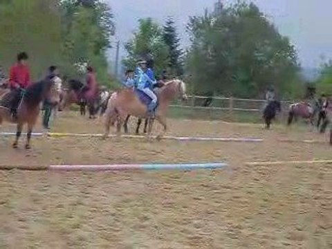 Facteur le 8 mai 2009 pony games