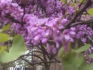 Quelques jours en Sicile occidentale