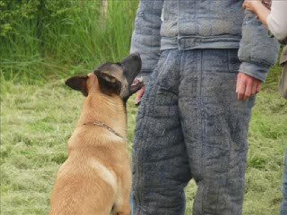 Diapo défense du maître Diuke des nuits de reves 9 mois